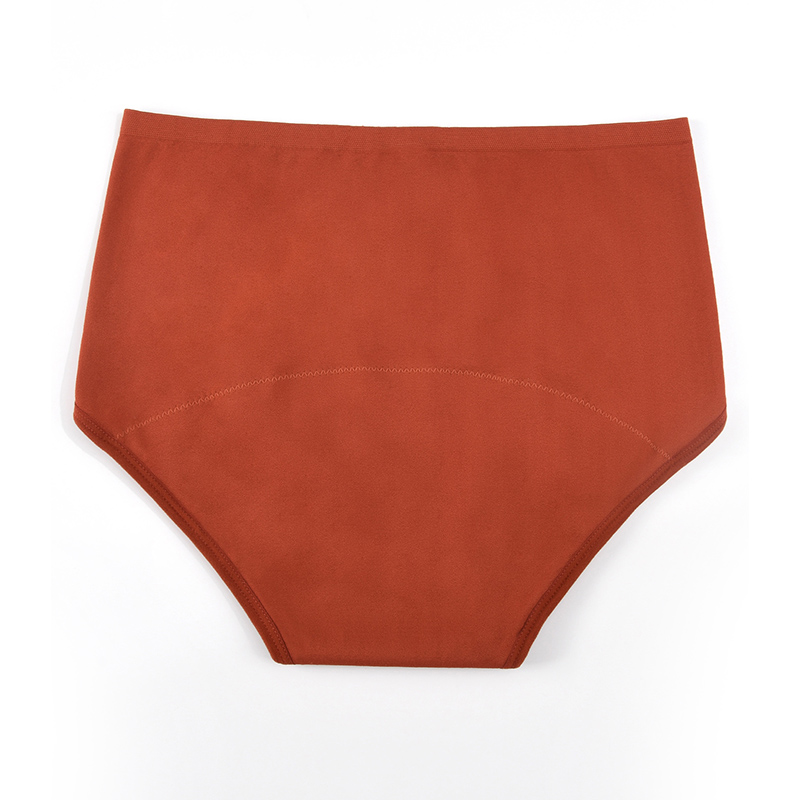 Women’s Seamless Period Pantie - Period Panty Absorbent recension och pris