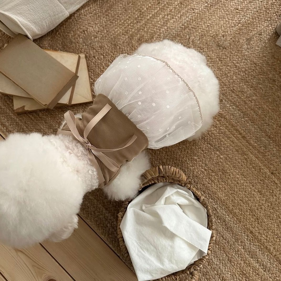 Spring and Summer Pet Lace Cam - Lace Teddy Lingerie recension och pris