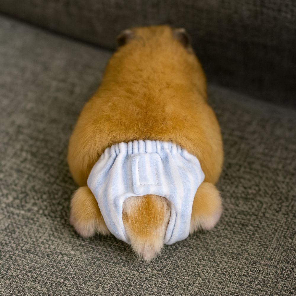 Absorbent Squirrel Diapers Lea - Period Panty Absorbent recension och pris